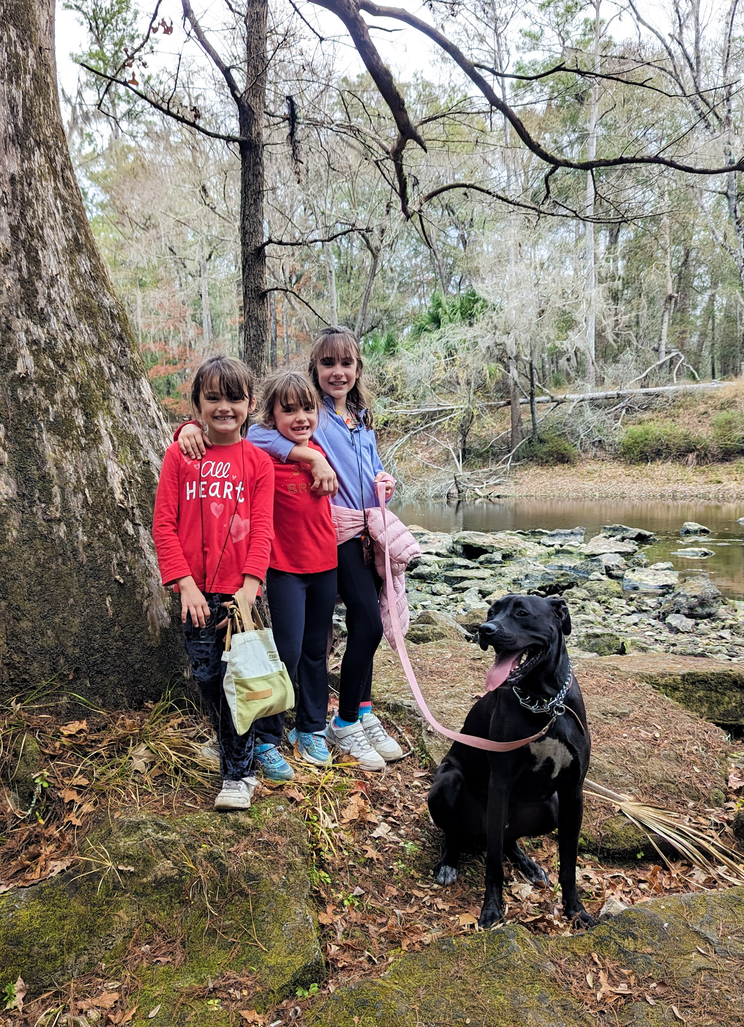 Less Screens, Less Fighting Deering Dental in Palmetto Bay, near Pinecrest